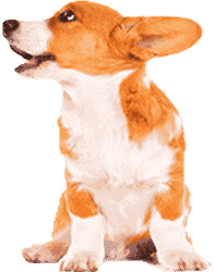 手机号群发平台